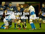 Live Rugby Match Sale Sharks vs Bath Rugby Stream