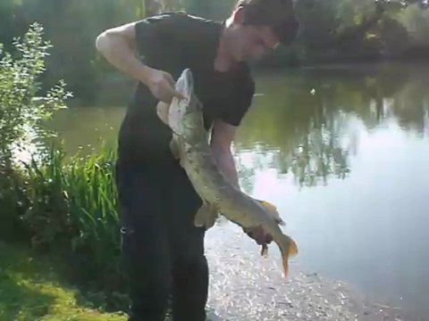 Brochet Buster Jerk - Les techniques modernes de pêche aux leurres - Roussillon Fishing