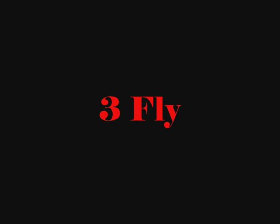 3 fly 2013