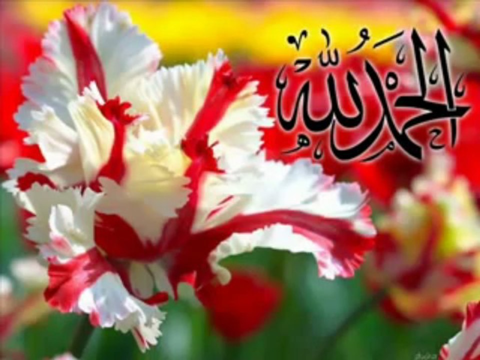 ParisSesli.ParisSesli.Yilmaz Sarikaya - Yâ Muhammed aleyhisseletu vesselem