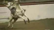 Barrel Racing