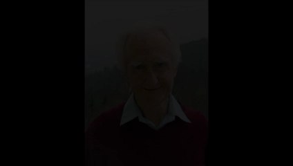 Voces a favor del papa Francisco