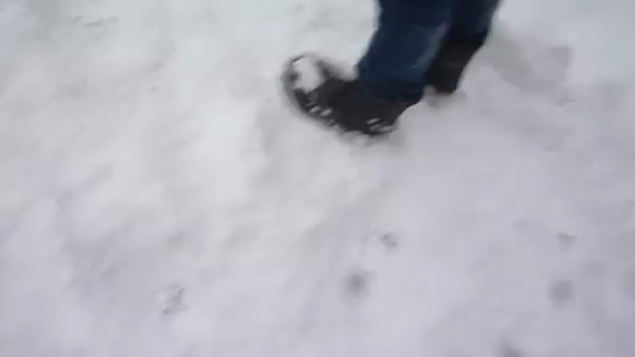 dans la tempete