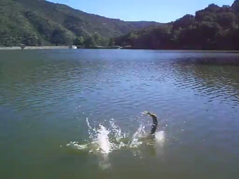 Le 1er Brochet de Lucas - Stage Pêche Carnassier Lac de Caramany & Vinça