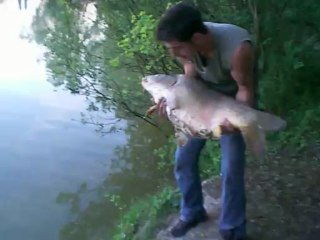 Mon record Carpe au mort manier Tarte aux Pommes 26kg