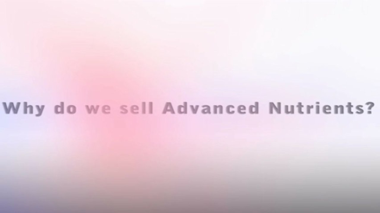 Riot Commercial I-RIOT AN