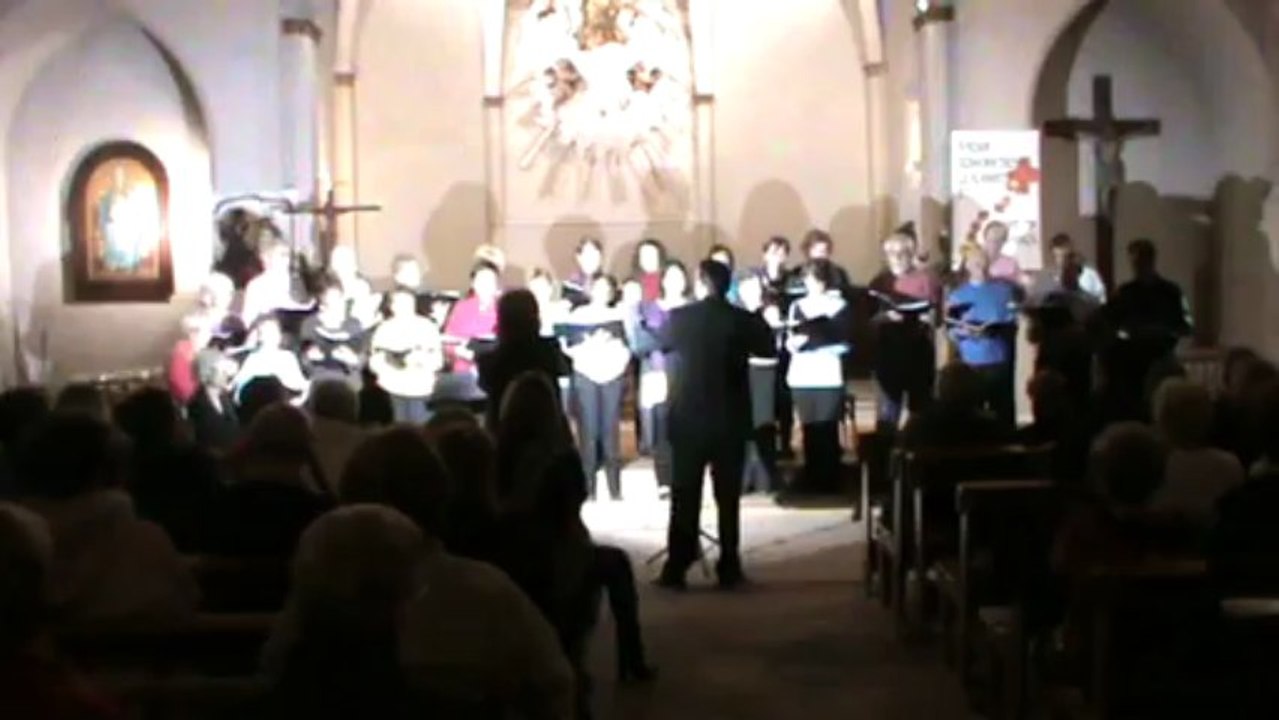 7-la pince à linge concert resto du coeur 2013