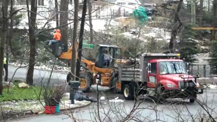 SAM_0636 Clearing up the mess on Dogwood Rd after Hurricane Sandy