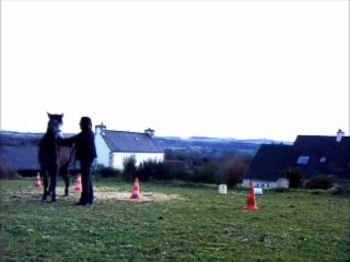20 mars 2013 - TAP Bébé arpège