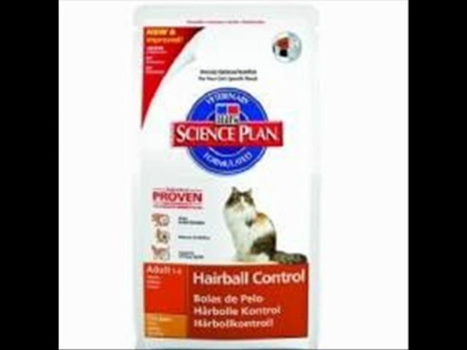 ilgazpet.com köpek kedi kuş balık yem mama aksesuar çeşit videosu