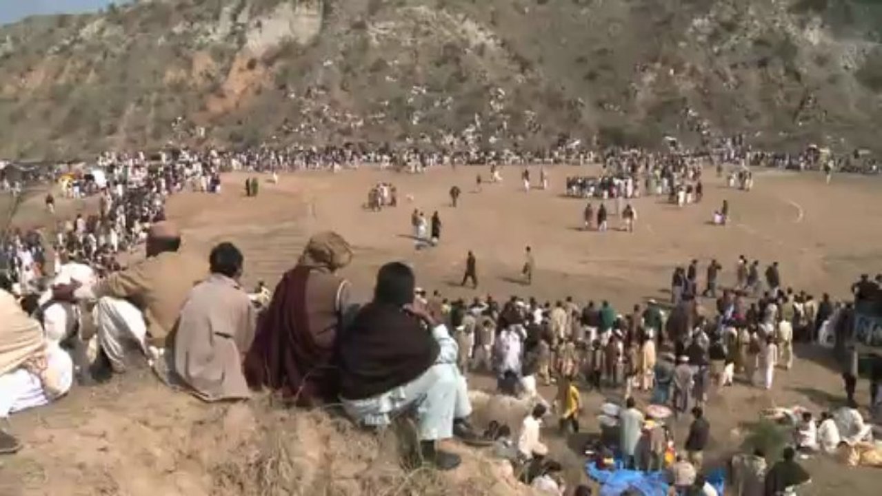 Grausame hundekämpfe in pakistan - trotz verbots