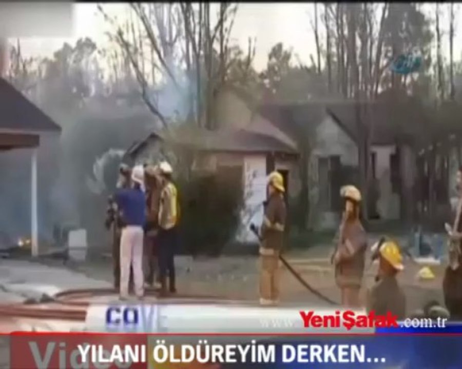 Yılanı öldüreyim derken...