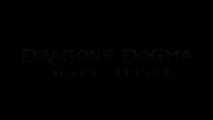 Dragon's Dogma Dark Arisen - Mystic Knight gameplay video