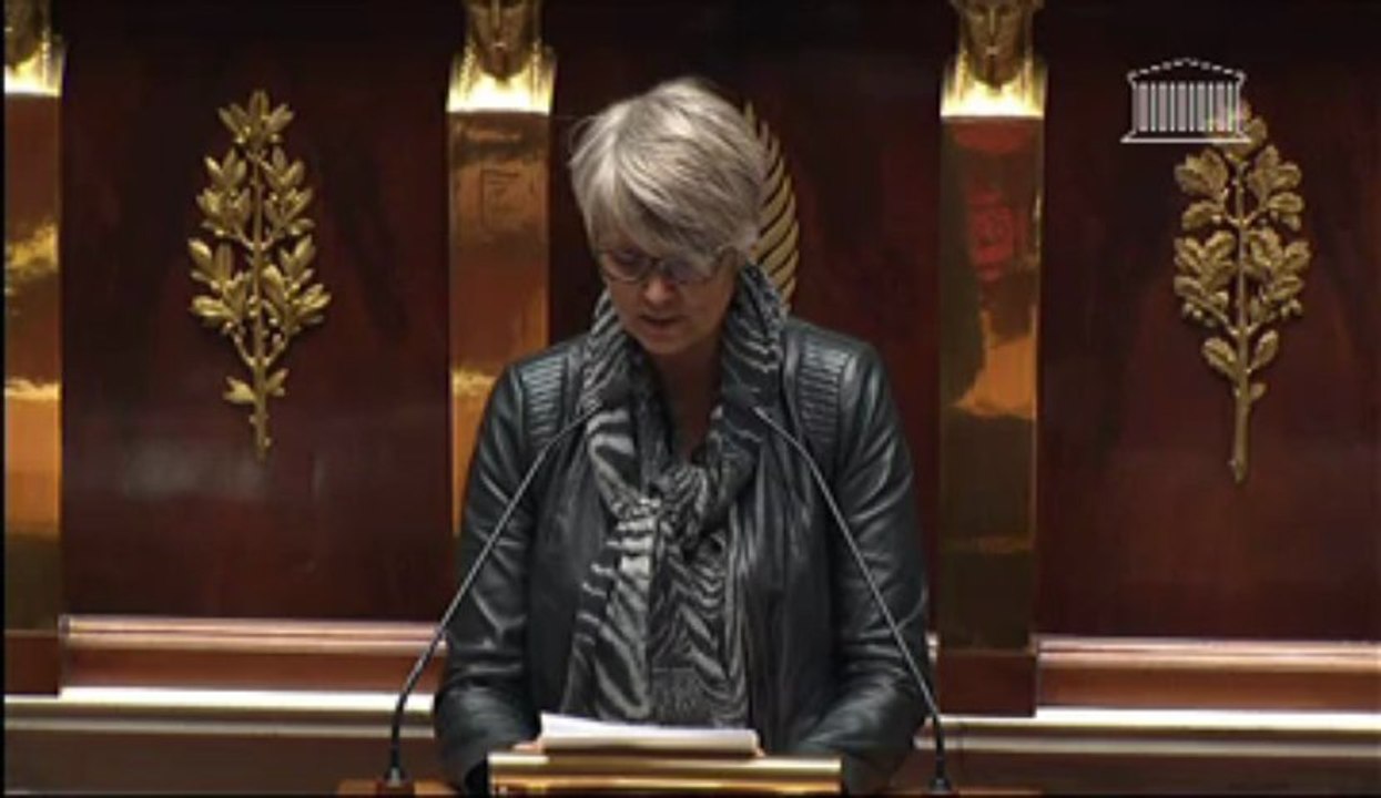Véronique Massonneau - Débat sur la politique européenne en matière d'emploi des jeunes