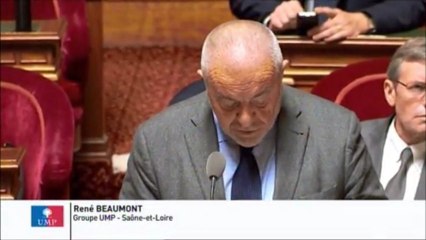 René Beaumont, Sénateur de la Saône-et-Loire : Avenir de la coopération franco-britannique en matière de défense