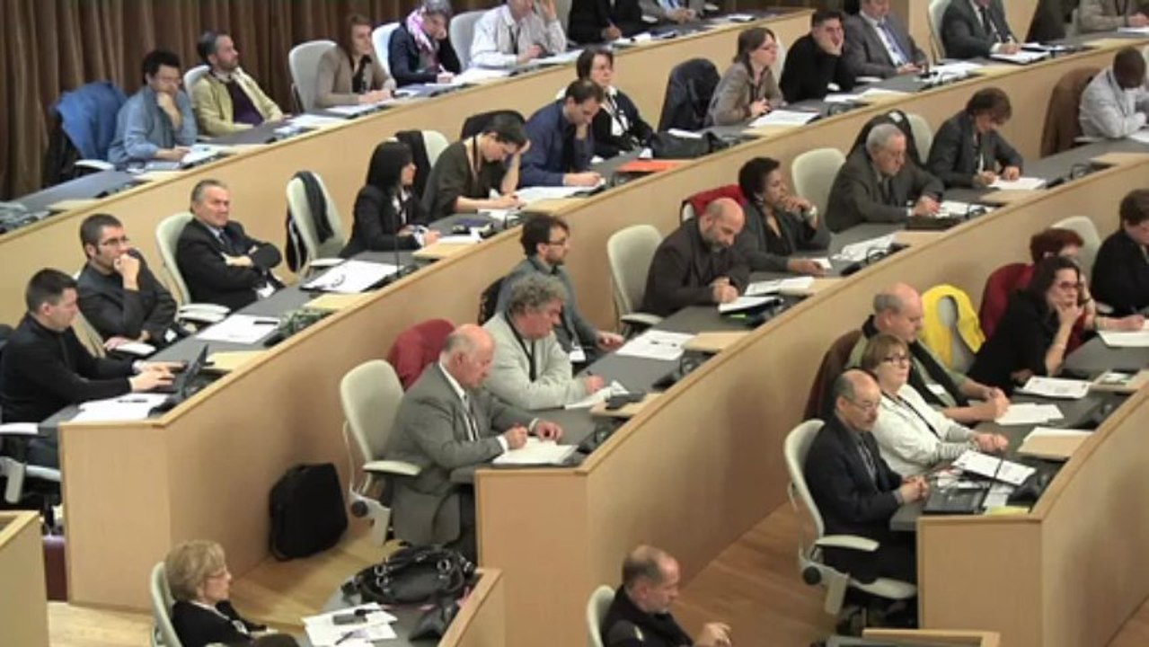 Conférence sur le développement du Mali (Lyon, 19 mars 2013).