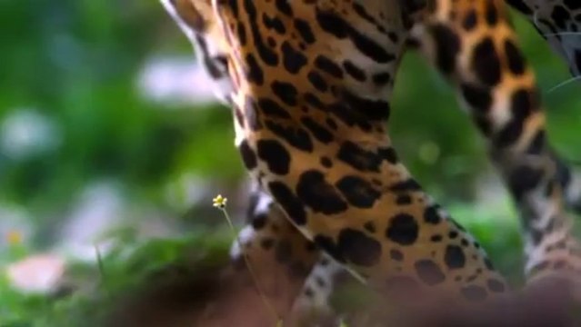 México. Contacto directo entre el PADRE con sus HIJOS y la MADRE Naturaleza.