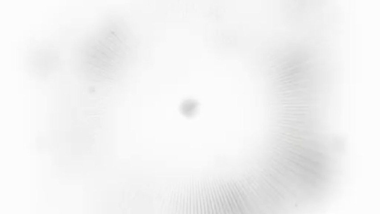 Pôster de Cannes eterniza beijo de Paul Newman e Joanne Woodward