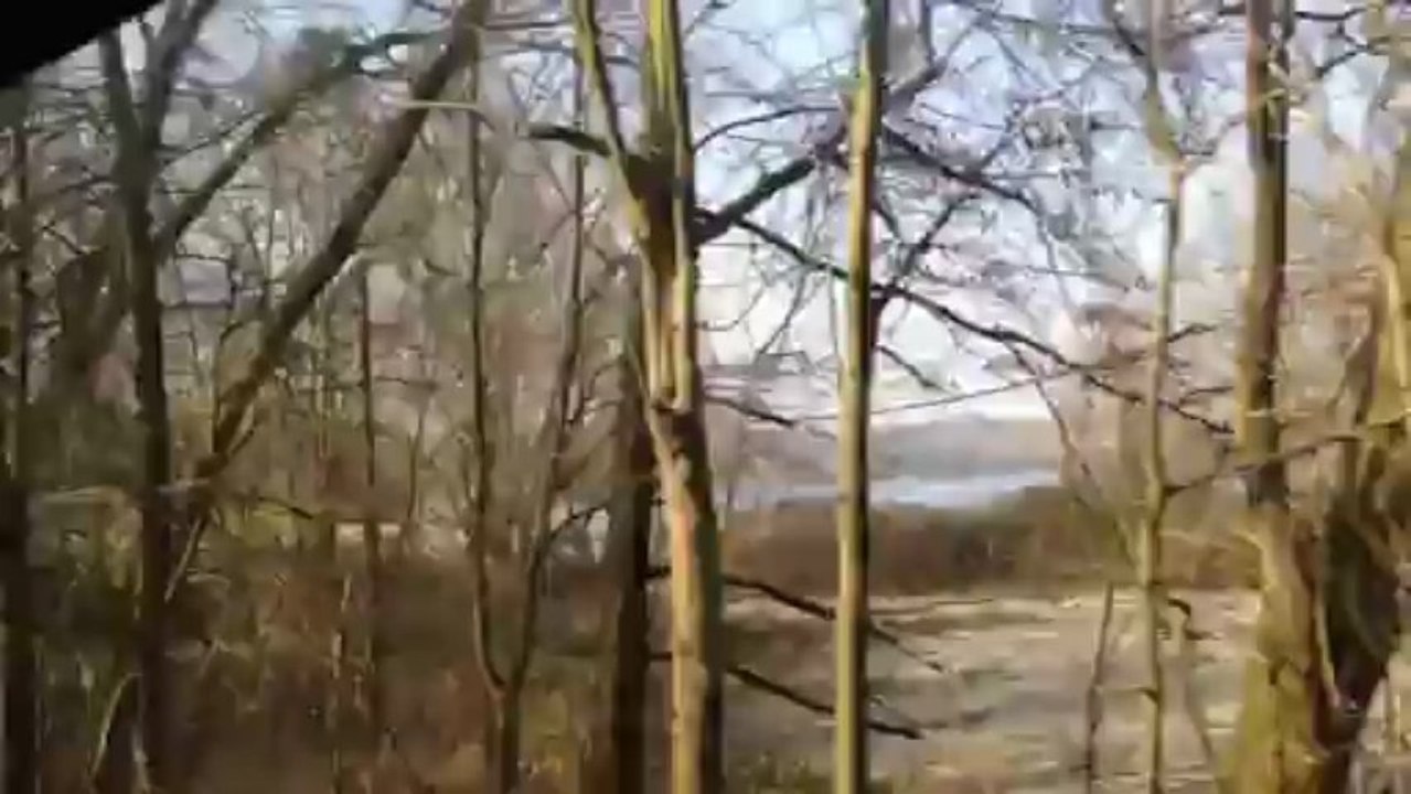 Enseignement de la natation dans les établissements scolaires