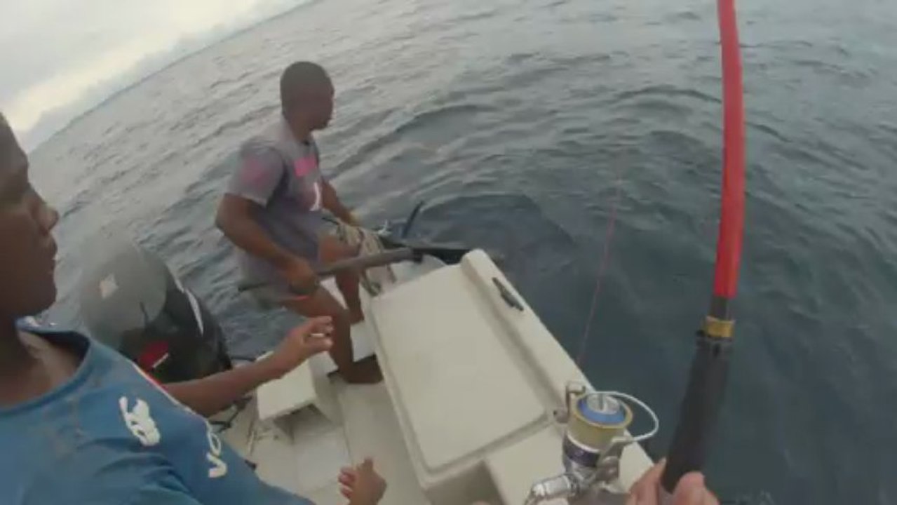 Prise d'un Espadon voilier.