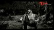 Palnati Yuddam Songs - Puttimpagalavu - NTR
