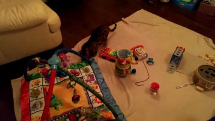 HTC One Low Light Test Video with Rumble!!