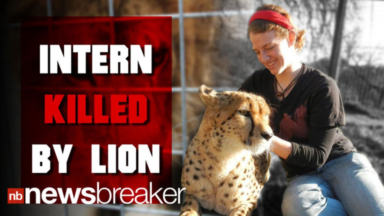 Calif. Intern Killed By Lion Identified | NewsBreaker | OraTV
