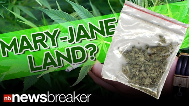 Maryland Senate Votes To Decriminalize Possession Of Small Amounts Of Pot | NewsBreaker | OraTV
