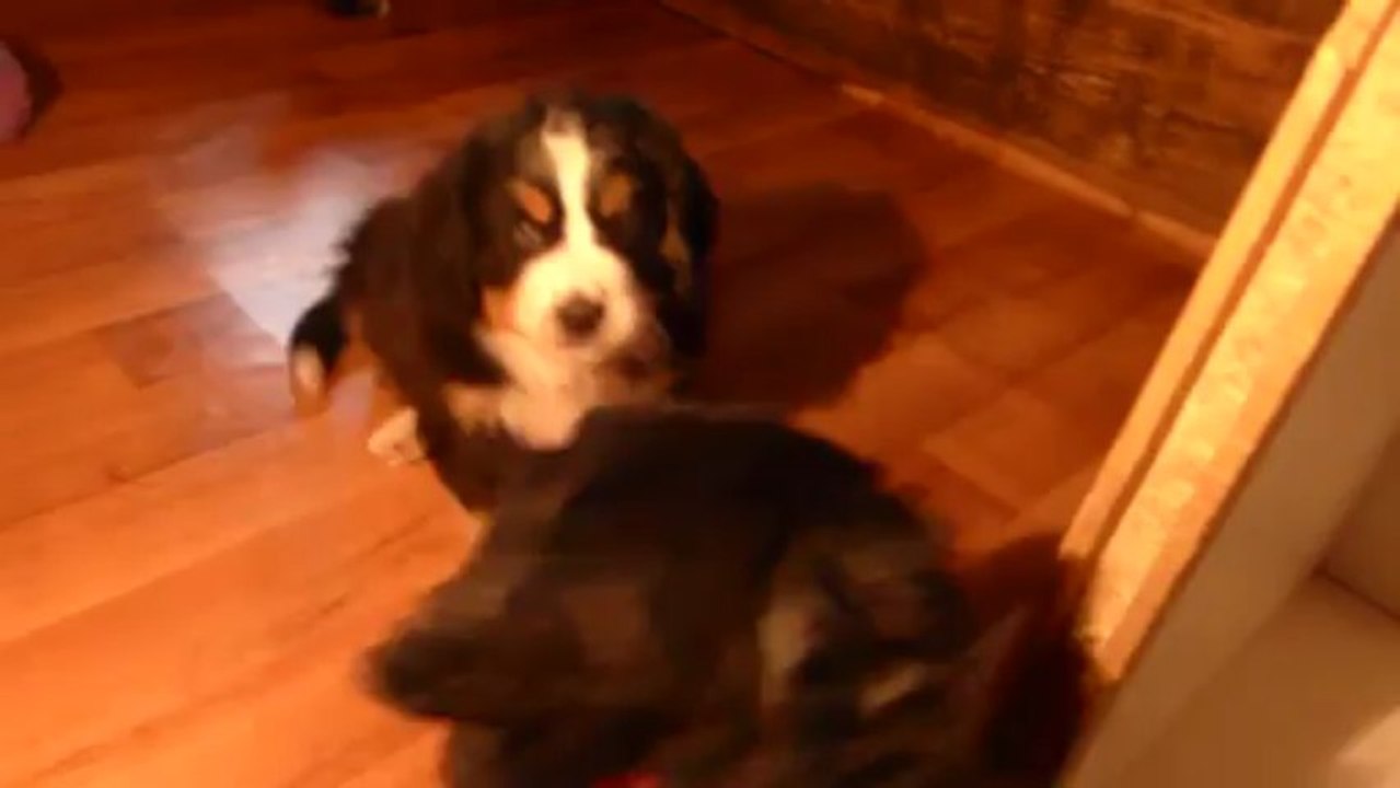 22mars tous les bébés (sauf bébé turquoise)