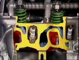 Engine Oil Seals & Valve Springs