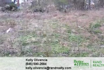 Homes for Sale - 117 Robinson Ave Newburgh NY 12550 - Kelly Olivencia