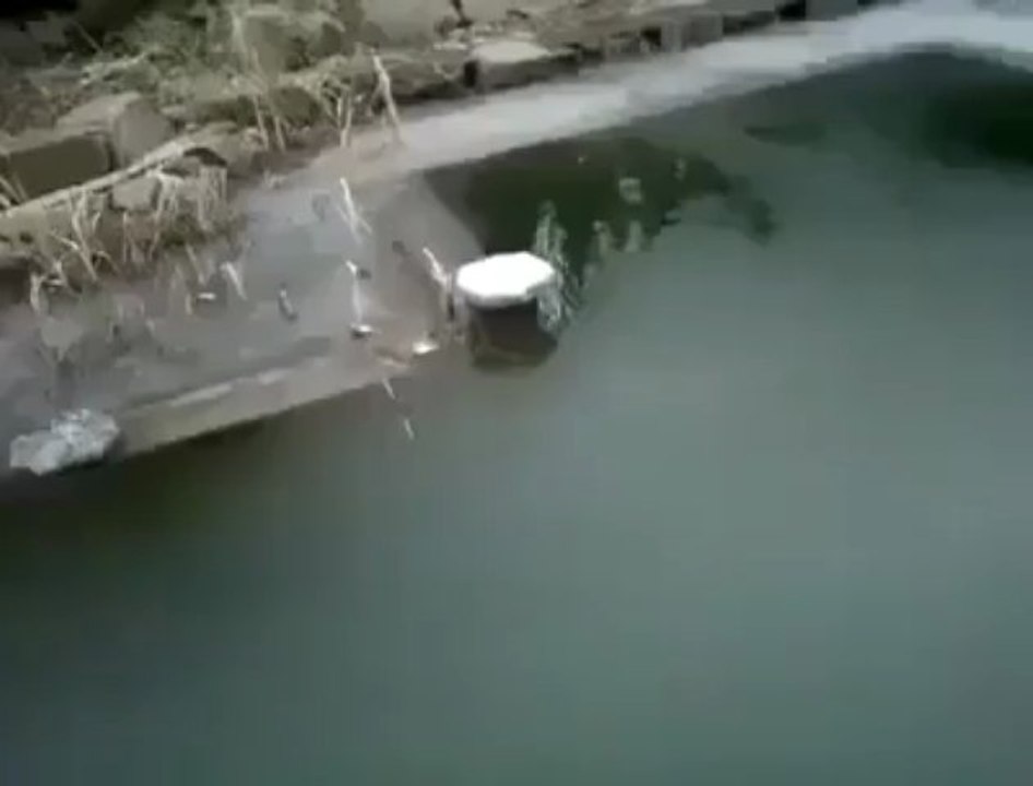 Fun