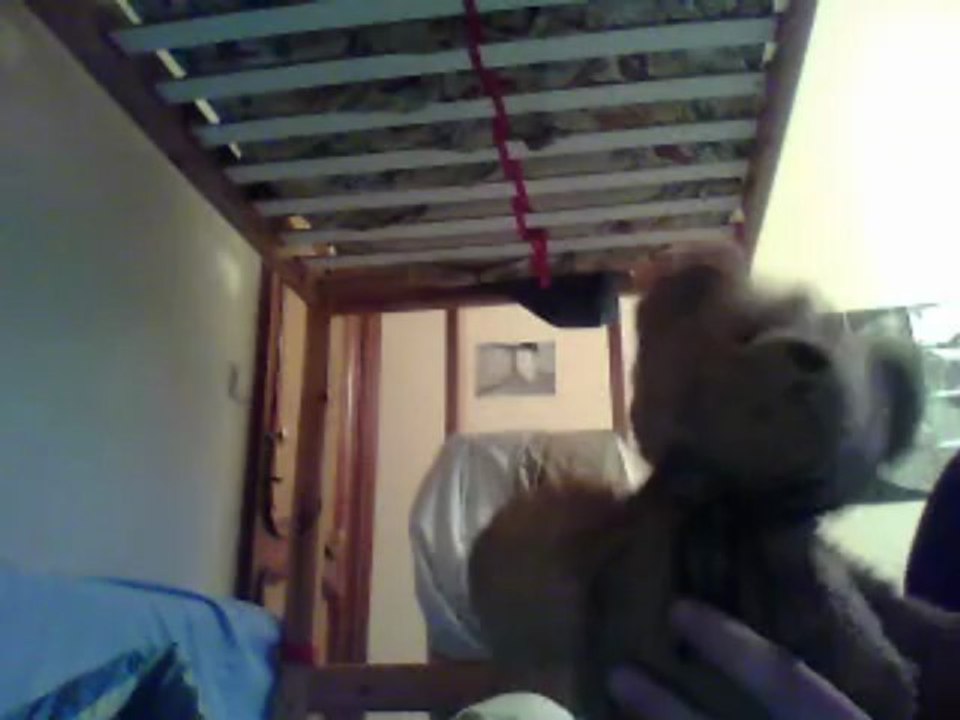 Je vous présente Nounours, mon doudou avec le grand méchant loup!!