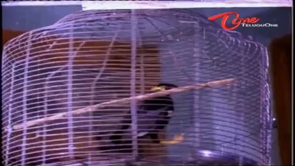 Intlo Ramayya Veedhilo Krishnayya Songs - Ajanthaa - Chiranjeevi - Madhavi