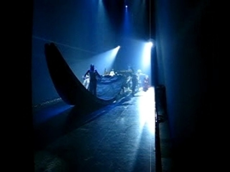 Cirque du Soleil delirium