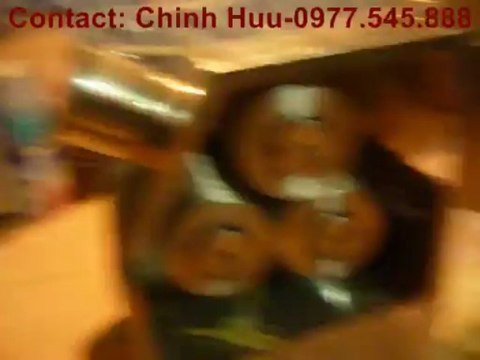 MÁY ÉP MÍA SIÊU SẠCH LIỀN BÀN CHẤT LƯỢNG CAO BẰNG INOX