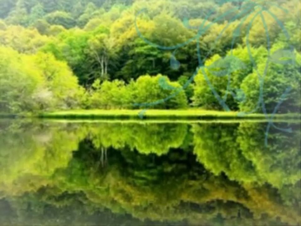 Gilbert Montagne The Fool Par Fernand