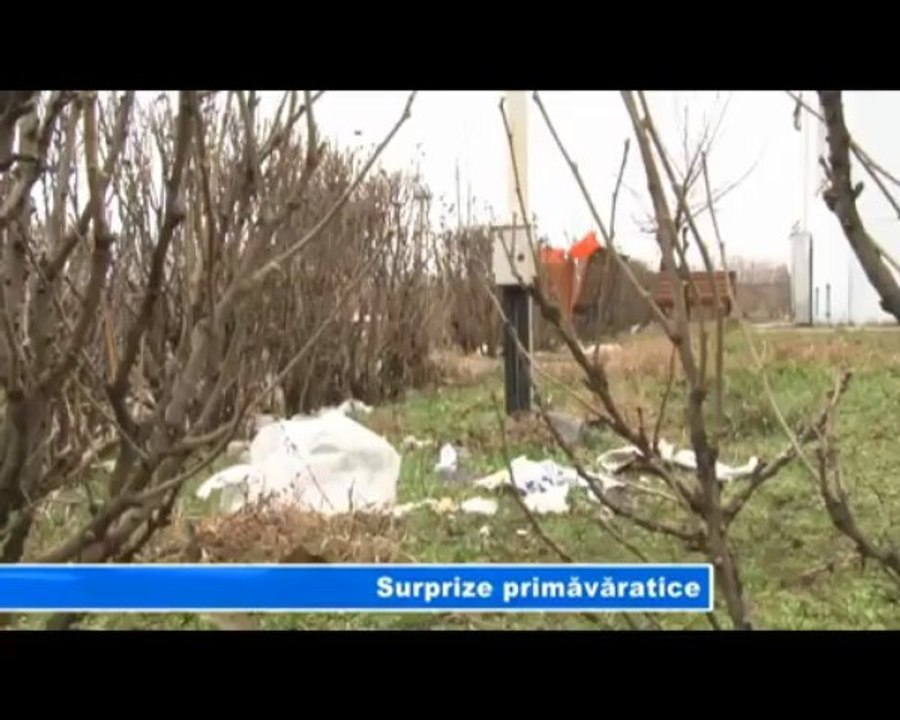 Surprize primavaratice