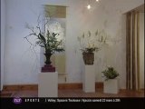 Art Floral : Exposition d'Ikebana à Toulouse