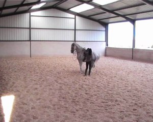 22 mars 2013 essais pirouettes