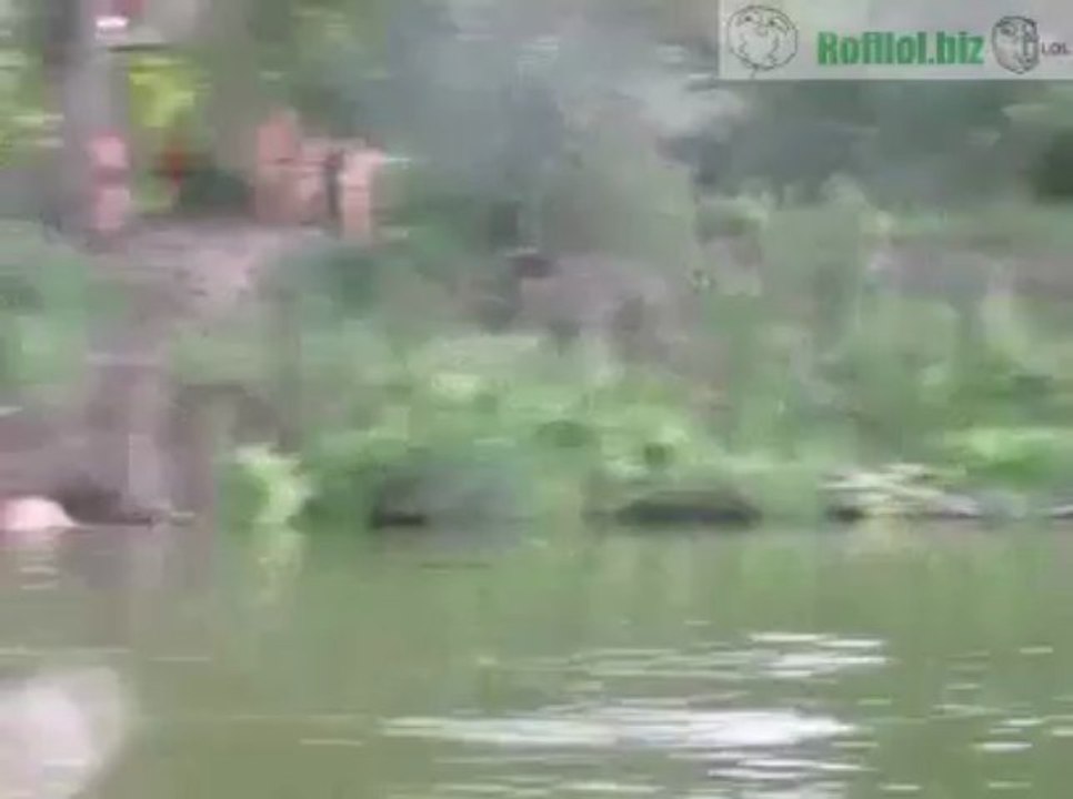 Tarzan 2.0