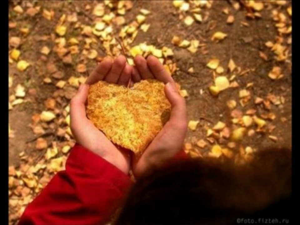 Cover by TaShiRa_Du kannst noch nicht mal richtig luegen