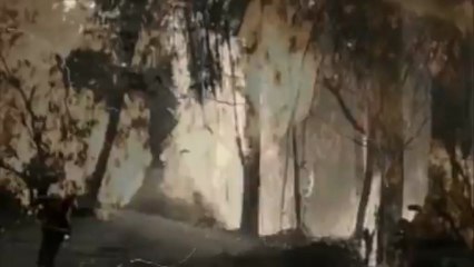 Tarkan - Uyan - Çoğalmak (Orjinal Versiyon)