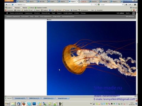 Создание ленты новостей. Часть 1 (И. Абраменко)