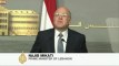 Lebanon PM resigns over cabinet gridlock