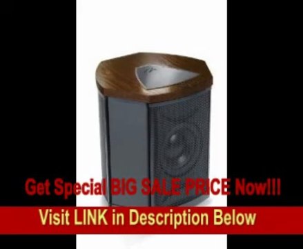 [SPECIAL DISCOUNT] MartinLogan Depth i High-Performance Triple 8-Inch Servo-Control Subwoofer (Single, Wenge)