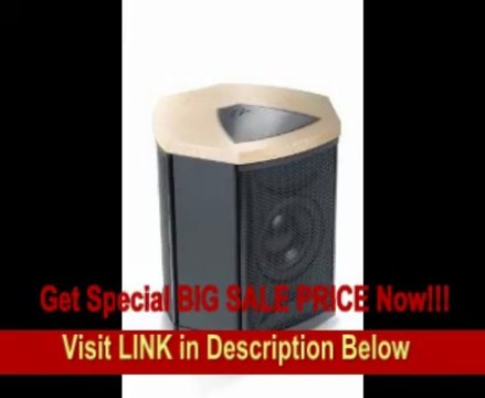 [BEST PRICE] MartinLogan Depth i High-Performance Triple 8-Inch Servo-Control Subwoofer (Single, Birds Eye Maple)