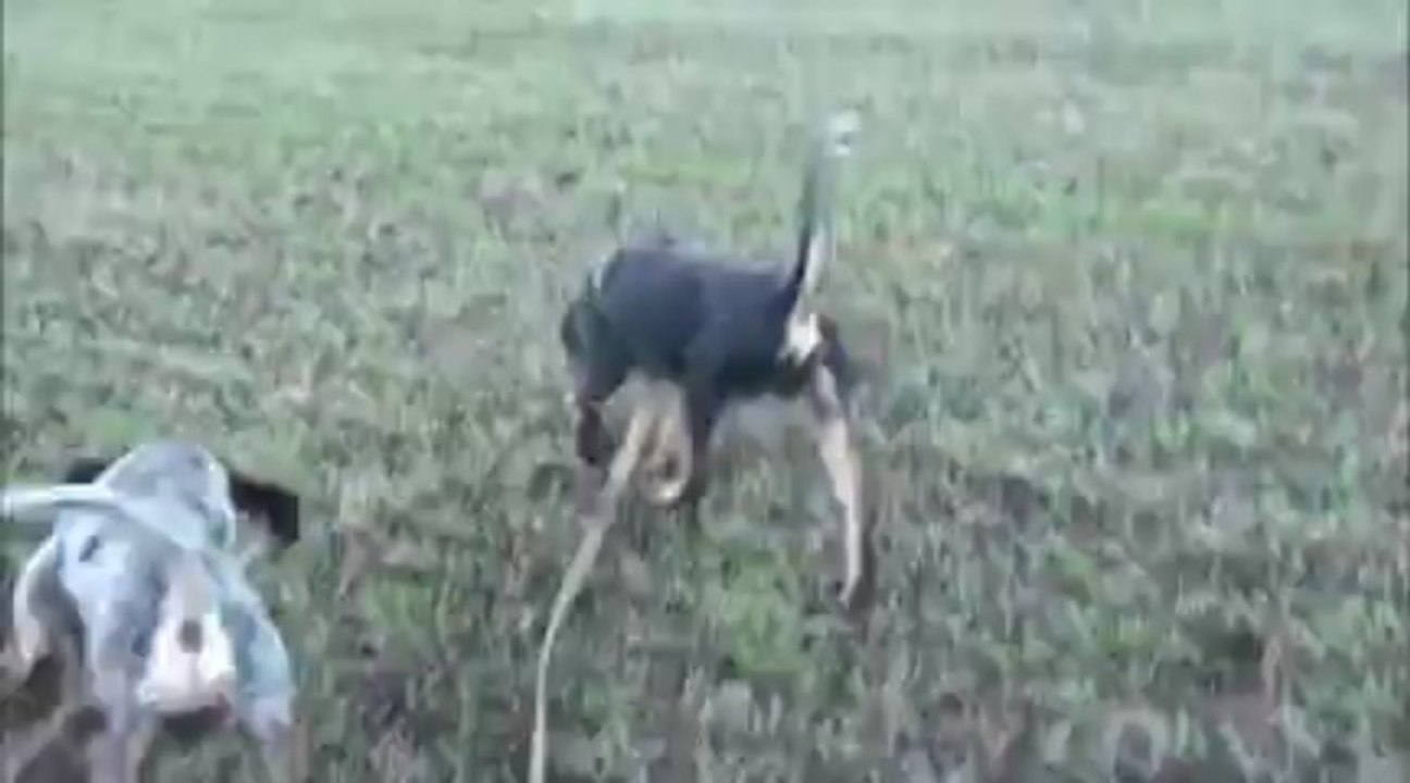 Diego et Gerry sur le pied