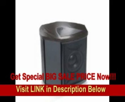 [SPECIAL DISCOUNT] MartinLogan Depth i High-Performance Triple 8-Inch Servo-Control Subwoofer (Single, Black Ash)