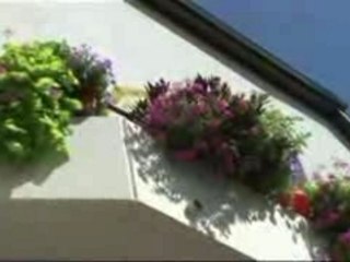 Maisons fleuries 2006